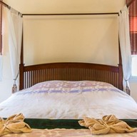 โอโซน ชมดาว