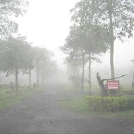 ภูพฤกษา