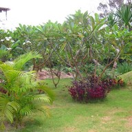 บ้านเรือนริมน้ำ