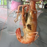 เมนูของร้าน ป้าใหญ่