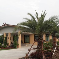 คิวจีรีสอร์ท