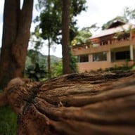 หมอกฟ้าม่อนเงาะรีสอร์ท