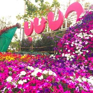 โรงแรมภูเรือบุษบารีสอร์ทแอนด์สปา