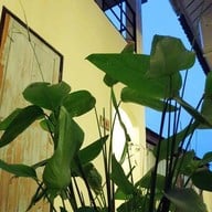 คุ้มเมืองมินทร์