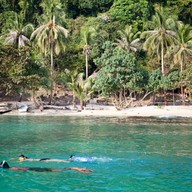 ป่าหินทราย