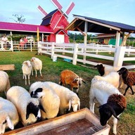Aneto Valley Resort