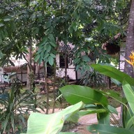 เกคโกหลีเป๊ะรีสอร์ท