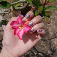 Peminika Studio ชุมพร