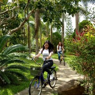 Nicslongstay