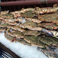 Rider Resort&Rider Grill399