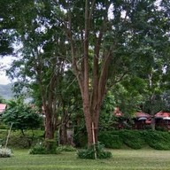 บ้านวิวน้ำ แค้มปิ้ง แอนด์ รีสอร์ท