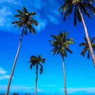 อุทยานแห่งชาติธารเสด็จ-เกาะพงัน