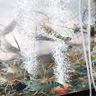 Rider Resort&Rider Grill399