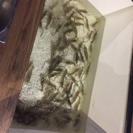 Ocean Grill Seafood Buffet ,Ladkrabang