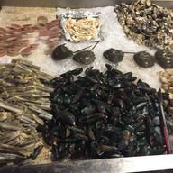 Ocean Grill Seafood Buffet ,Ladkrabang