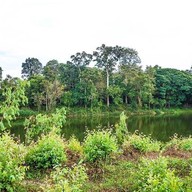 วนอุทยานชีหลง
