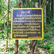 ถ้ำดาวดึงส์
