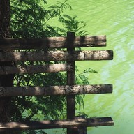 ชาวเลซีฟู้ด