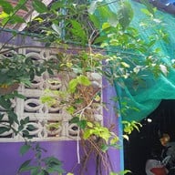 ปูเป้ กาแฟสด ไปรษณีย์บางปู