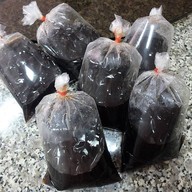 เมนูของร้าน เฉาก๊วยสดอาโก ตลาดบางปะกอก