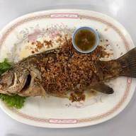 เมนูของร้าน โกทิ ร้านอาหารหัวหิน หัวหิน