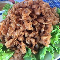 มัจฉาพาโชคฟาร์ม