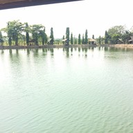 มัจฉาพาโชคฟาร์ม