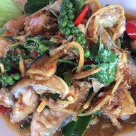 มัจฉาพาโชคฟาร์ม