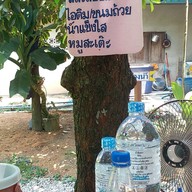 ซุ้มส้มตำเนินทราย