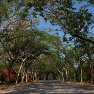 The Tamarind Exclusive Villa