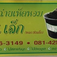 กาน่าฉ่ายคุณเล็ก