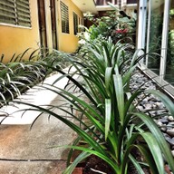 บ้านอ้ายหล้า