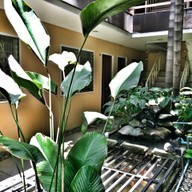 บ้านอ้ายหล้า