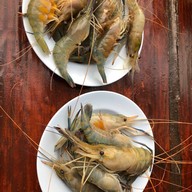 ตังค์เต็มกุ้งย่าง จันทรเกษม