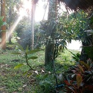 ส้มตำบิ๊กโบ๊ท เมืองอุบล