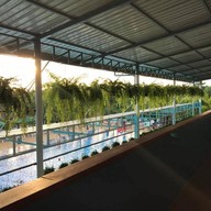 Suan Palm - สวนปาล์ม Swimming Pool,Sauna&Steam