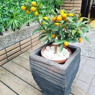 หน้าร้าน Bobii Frutii