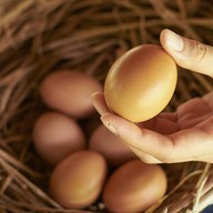 บรรยากาศ สุขใจออร์แกนิกฟาร์ม