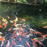 บรรยากาศ Junpa Garden Cafe