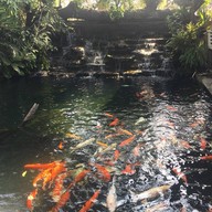 บรรยากาศ Junpa Garden Cafe