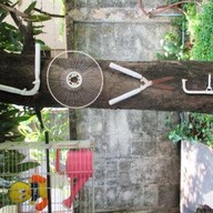 บรรยากาศ ปากเกร็ด ฮัท  Home Made ที่บ้าน