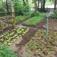 เมนูของร้าน เฮือนอาหารบ้านกาแฟ