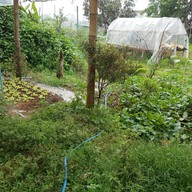 เฮือนอาหารบ้านกาแฟ