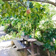 บรรยากาศ ขนมจีนบ้านสวน@เขาปูน