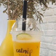 เมนูของร้าน Catnip.feel