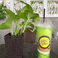 เมนูของร้าน กาแฟสดชีโน่