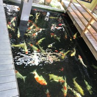 บรรยากาศ Tawanwa Coffee Chiangai แม่จัน