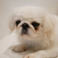 บรรยากาศ Little Zoo Cafe