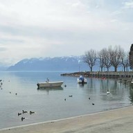 Boccalino Restaurant Pizzeria Lausanne Switzerland