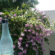 โรงแรมเอ็นพีบุรีรัมย์